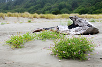Alaska 035
